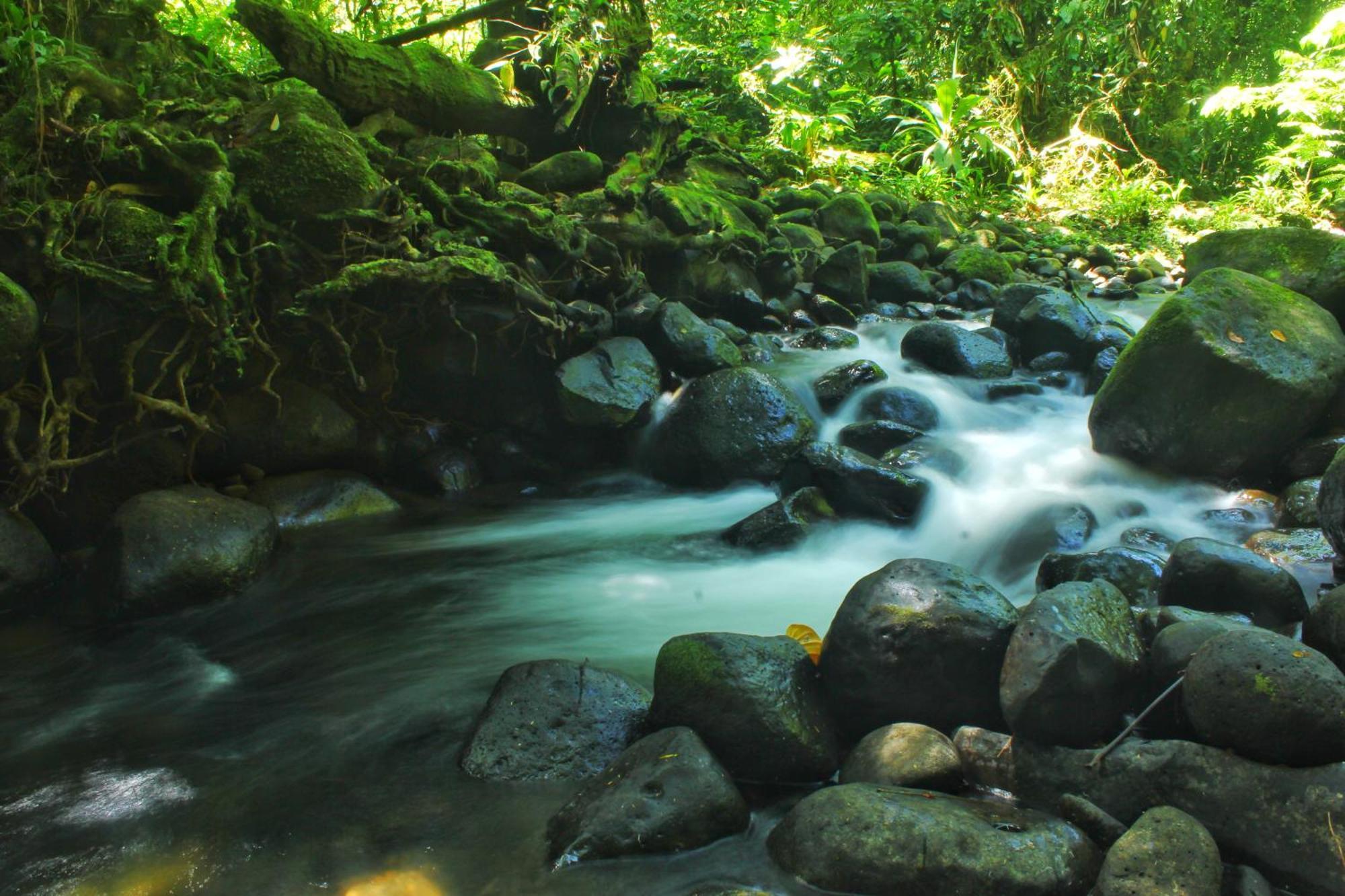 Las Arrieras Nature Reserve And Ecolodge Horquetas Exterior foto