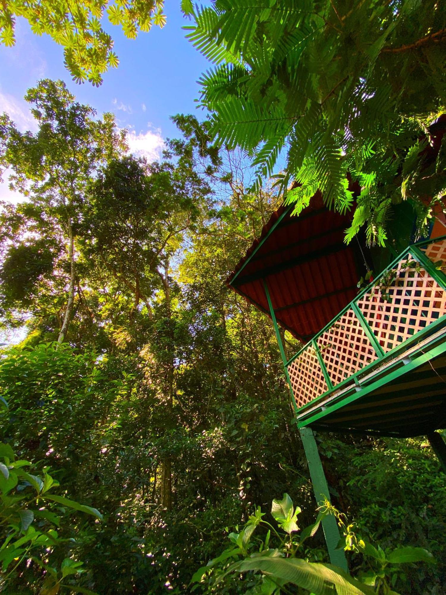 Las Arrieras Nature Reserve And Ecolodge Horquetas Exterior foto