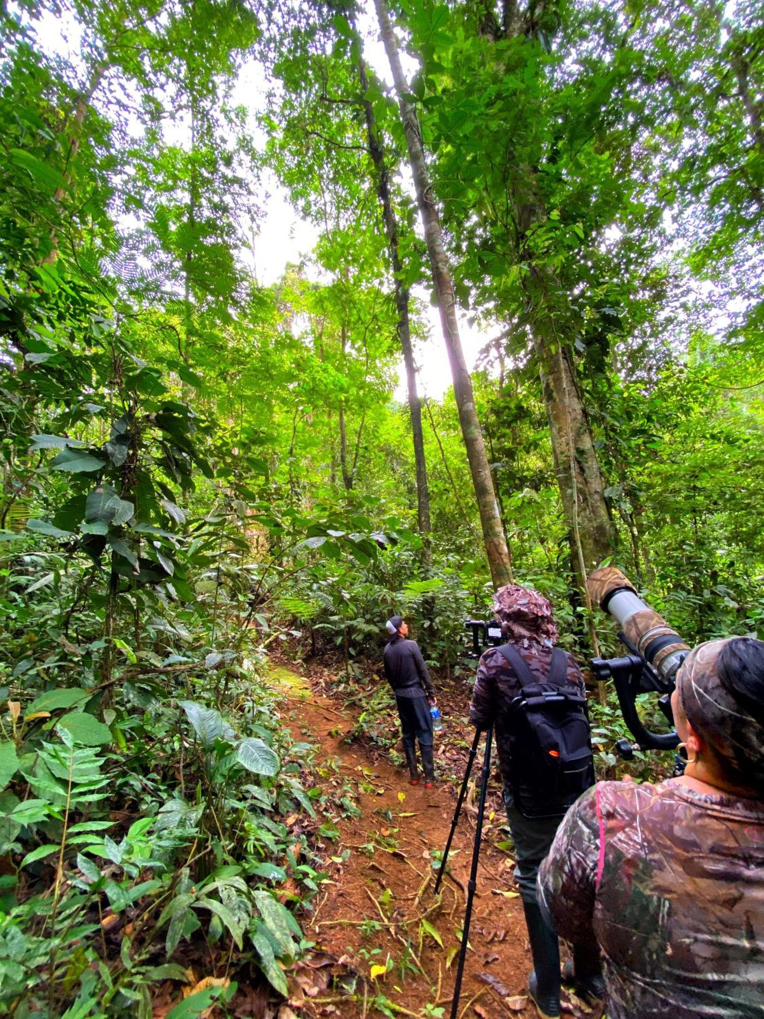 Las Arrieras Nature Reserve And Ecolodge Horquetas Exterior foto