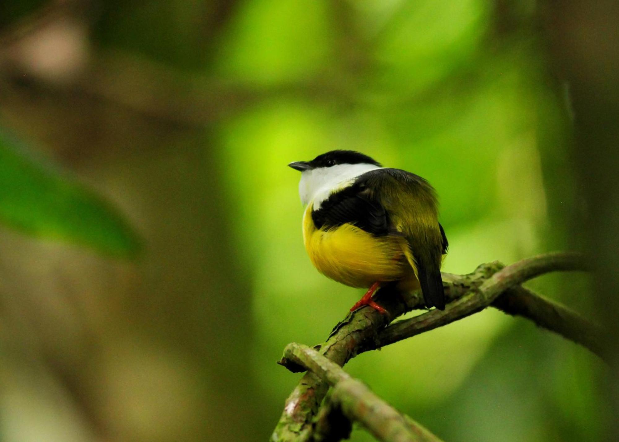 Las Arrieras Nature Reserve And Ecolodge Horquetas Exterior foto